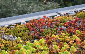 the cost of Roath green roof installation