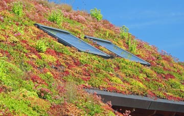 Roath living roof systems