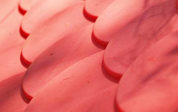 Roath plastic roof costs