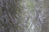 Roath fibreglass roof work