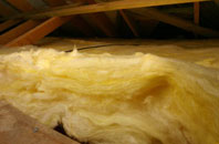 Roath pitch roof insulation